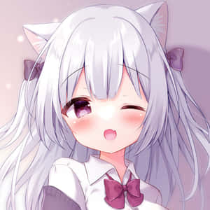 銀色頭髮和貓耳的動漫女孩，帶著開心的表情眨眼。 — 可愛動漫女孩 壁紙