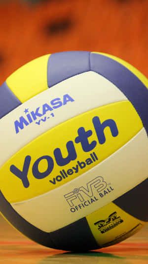 一個Mikasa Youth排球在木製球場上。 — 排球 壁紙