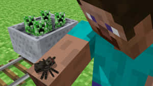 Minecraft玩家手持蜘蛛，爬行者在花盆中，旁邊有火車軌道 — 蜘蛛人 手機 壁紙