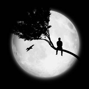 夜晚滿月背景下樹枝上的人物和鳥剪影 — 獨自一人 壁紙