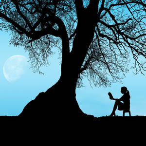 一個人在滿月的夜晚在樹下閱讀。 — 閱讀 壁紙