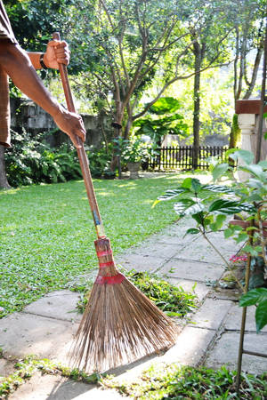 在陽光明媚的花園中清掃石徑的人，周圍有綠草和樹木 — 花園 壁紙