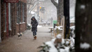 冬季暴風雪中，一個人在積雪的人行道上遛小狗。 — 酷寒冬季 壁紙