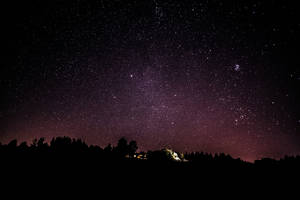 一個星空夜空，發光的銀河在黑暗的森林和亮燈的房子之上。 — 星空動畫 壁紙
