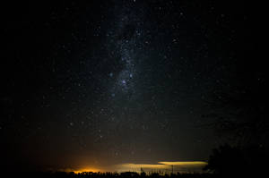 星空夜空，銀河在樹木剪影和遙遠的地平線光芒之上。 — 星空動畫 壁紙