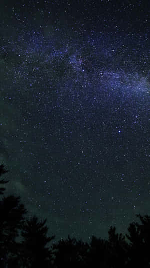 黑暗的夜空，有銀河和松樹剪影 — 美學深藍 壁紙