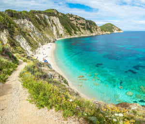 海岸小海灣，碧綠的海水和沙灘，周圍環繞著綠色懸崖。
