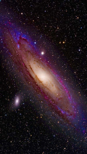 一個螺旋星系，紫色和金色的旋臂在佈滿星星的黑色天空中發光。 — 昏暗 壁紙
