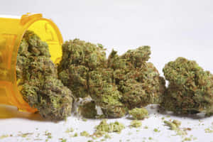 黃色藥丸瓶傾倒，在白色表面上灑出綠色大麻花蕾。 — 植物美學 壁紙