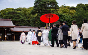 穿著傳統日本婚禮服飾的群體走向寺廟。 — MacBook Pro 14 壁紙