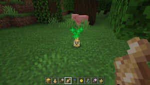 Minecraft玩家在發光蘑菇和豬附近的長滿草森林中手持物品。 — 我的世界苦力怕 壁紙