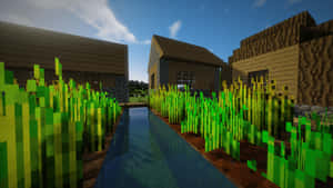Minecraft村莊，水渠旁有木屋和高高的草叢。 — 我的世界 壁紙