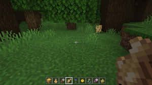 Minecraft第一人稱視角，顯示一隻貓在長滿草的森林中，有樹木和物品欄。 — 我的世界苦力怕 壁紙
