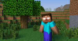 Minecraft角色站在草地上，附近有一棵樹。