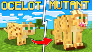 Minecraft豹貓突變為一個更大的貓科生物，帶有尖銳的牙齒。 — 我的世界 壁紙