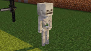 Minecraft骷髏在柵欄附近的草地上手持劍 — 骷髏迷因 壁紙