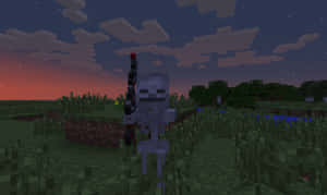 骷髏在Minecraft草地田野手持劍，黃昏。 — 我的世界迷因 壁紙