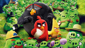 Angry Birds角色被綠色豬包圍在草地上。 — 猛禽 壁紙