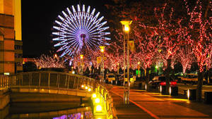夜晚城市公園中，明亮照明的摩天輪和裝飾過的樹木。
