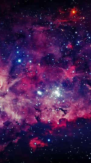 在深空中充滿閃爍星星的充滿活力的紫色和粉紅色星雲。 — 昏暗 壁紙