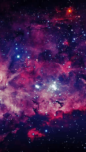 深邃太空中充滿明亮星星的充滿活力的紫色和粉紅色星雲。 — 瓦斯 壁紙