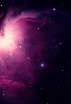 充滿活力的粉紅色和紫色星雲，在深空中散佈著星星。 — 星星 壁紙
