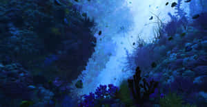色彩繽紛的珊瑚礁，魚群在藍色水下峽谷中游動。 — 海洋桌面 壁紙