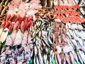 新鮮海鮮，包括魚、魷魚、蝦和鮭魚片，在市場的冰上展示。 — 海鮮 壁紙