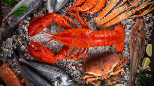 新鮮海鮮包括龍蝦、蟹、蝦和魚，放在冰上，配以萊姆角。 — 海鮮 壁紙