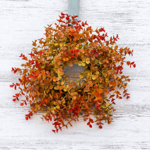 白色木材上的紅色、橙色和金色桉樹葉秋季花環。 — 植物美學 壁紙