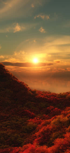 秋日山林日落，金色天空下火紅和橙色的樹葉。 — Pixel 8a 壁紙