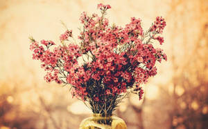 玻璃花瓶中的粉紅色花朵，帶有金色散景背景。 — 花朵美學動態圖 壁紙