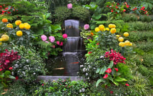 一個花園瀑布，池塘裡有色彩繽紛的花朵和錦鯉。 — 花園 壁紙