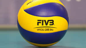 青綠色球場表面上的FIVB官方排球 — 排球 壁紙