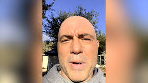 一個光頭男人在陽光明媚的日子穿著灰色連帽衫在戶外，背景有樹木。 — 演員 壁紙