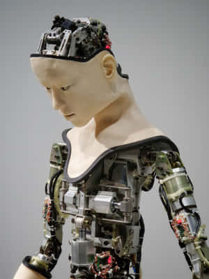 人形機器人的特寫，可見內部機械裝置和光滑的頭部。 — 2048x2732 壁紙
