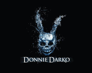 藍色水花形成兔頭骨形狀，帶有電影名稱 Donnie Darko。 — 高清骷髅 壁紙