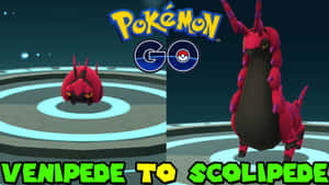 Venipede 在 Pokémon GO 戰鬥競技場進化成 Scolipede。 — 寶可夢 高畫質 壁紙