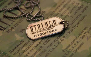 金屬狗牌，上面有「STALKER」和日期，放在帶有俄語文字的迷彩紙上。 — 狗狗藝術 壁紙