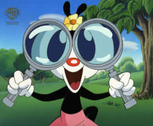Animaniacs 背景 — 狂歡三寶 壁紙
