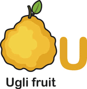 Ugli水果插圖，有一個大黃色U和文字標籤。 — Pixel 9 Pro Fold 壁紙
