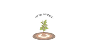 一個可愛的盆栽，長著綠葉，放在圓形地毯上，並有「herbal cuteness」字樣。 — 植物美學 壁紙