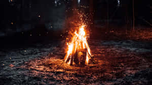 明亮的營火在黑暗的森林中燃燒，火花飛舞的夜晚。 — 火焰動畫 壁紙