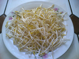 瓷磚檯面上花卉盤子裡的新鮮豆芽。 — 蔬菜 壁紙