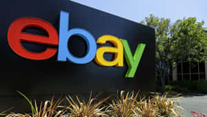 企業建築物上的彩色eBay標誌招牌，周圍有綠植和晴朗天空。 — 彩色動圖 壁紙