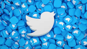一個大型白色Twitter鳥標誌被藍色應用程式圖標包圍。 — 推特 壁紙