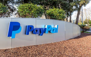 PayPal企業標誌，藍色，在灰色牆上，有綠色灌木和棕色覆蓋物。 — PayPal 壁紙