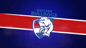 Western Bulldogs運動隊標誌，藍色盾牌上有鬥牛犬吉祥物和紅色條紋。 — 狗狗藝術 壁紙