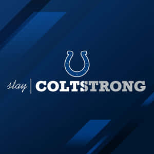 印第安納波利斯小馬隊標誌，帶有 'stay COLTSTRONG' 口號，藍色背景。 — 名言 壁紙