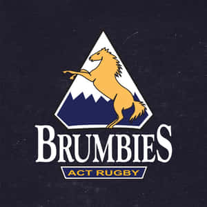 Brumbies 橄欖球隊標誌，山峰上有一匹昂首的駿馬。 — 野生動物 壁紙